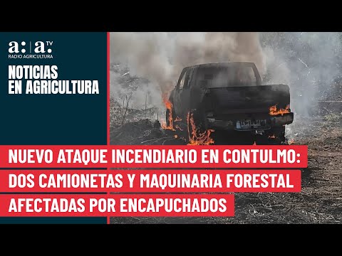 Nvo ataque incendiario en Contulmo: dos camionetas y maquinaria forestal afectadas por encapuchados