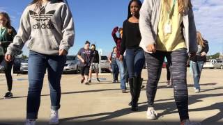PALS Video Scavenger Hunt 2016