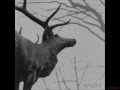Agalloch - A Desolation Song  -  Subtitulo Ingles