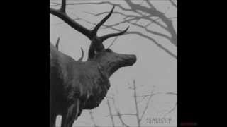 Agalloch - A Desolation Song  -  Subtitulo Ingles