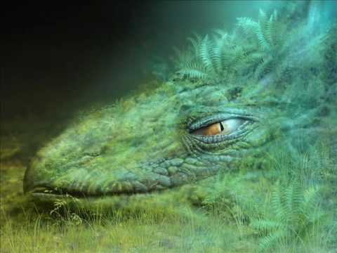 Tiger & Dragon - Rapture ( Niels Van Gogh & Frank Sonic Remix )