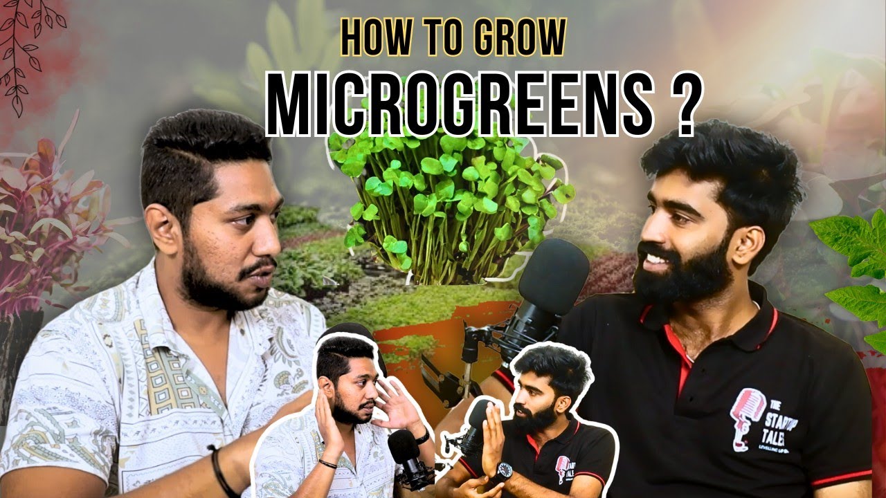 Exploring The Profitable Microgreens Business In India A Guide To