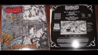 Sentenced - Shadows Of Past (Full Album 1992) [VINYL RIP]