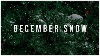 December Snow - An Epic Cinematic B-Roll Short - Filmed with the Nikon Z6