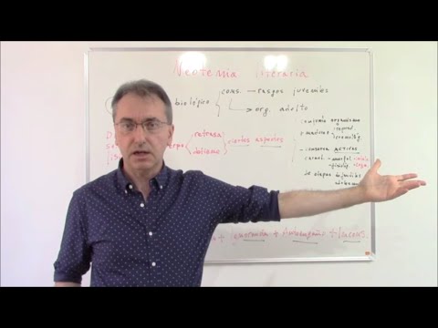 ¿Qué es la neotenia? Introducción a la neotenia literaria: un problema que afecta a universitarios