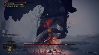 Blood twinblade vs Death twinblade | Elden Ring | Black Blade Kindred Boss Fight | No Summons