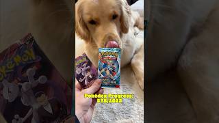 will my dogs win streak continue ?? #pokemon #packbattle