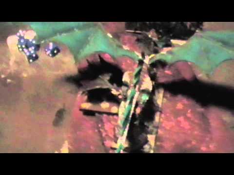 Warhammer high elves Vs Fimir.m4v