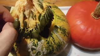 تعرف  على أطيب أنواع اللقطين الأوكراني وبذوره