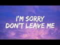 SLANDER I M Sorry Don T Leave Me I Want You Here With Me Lyrics Love Is Gone