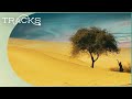 Thar The Incredible Living Desert Deserts And Life