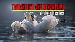 Download lagu TAKKAN LELAH AKU MENCINTAIMU - VISUALISASI PUISI kata cinta romantis mp3