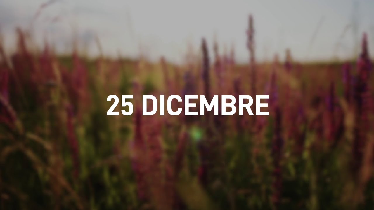 25 Dicembre 2025 | Meditazione Parole di Vita