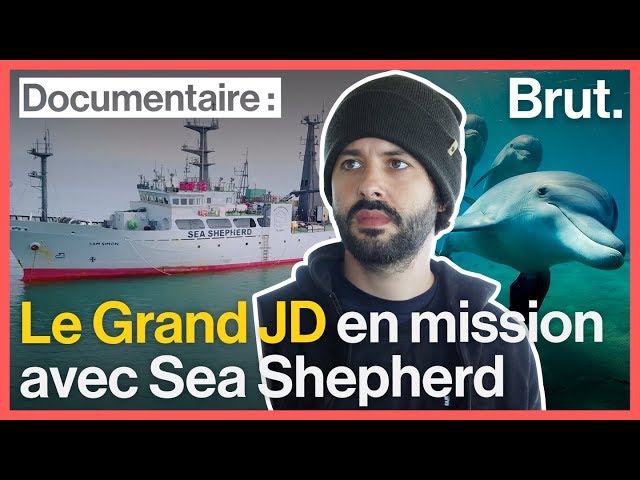 Videouttalande av Sea Shepherd Franska