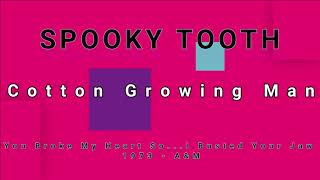 SPOOKY TOOTH-Cotton Growing Man (vinyl)
