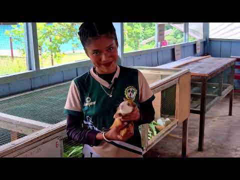 Programa de Estudio Producción Agropecuaria