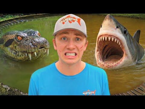 Every Monster i Found in 2024