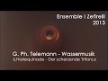 TELEMANN: Harlequinade - Der scherzende Tritonus LIVE | Barockorchester I Zefirelli 2013