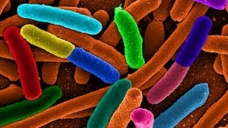 CDC: 'Superbugs Out-Evolved Our Best Antibiotics'
