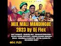 MIX MALI MANDINGUE 2023 BY DJ FLEX(SAFI DIABATÉ-MARIAM BA-ASTOU NIAMEY-BINGUINI -MOHAMED DIABY-Seyba