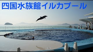 【まったり動画】四国水族館のイルカプールを眺めるだけ(昼編)