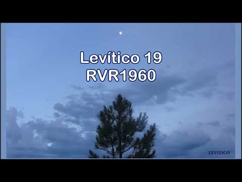 Levítico 19 - 21