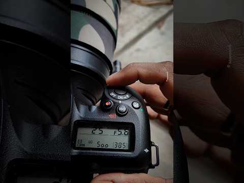 Nikon D7500 Continuous High Shutter #nikon #camera #ytshort #ytshortsindia