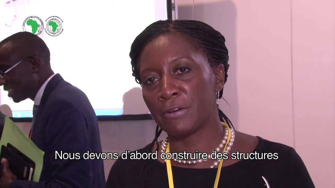 Interview Moono Mupotola, Chef de Division Integration Regionale et Commerce, BAD (AA 2015)