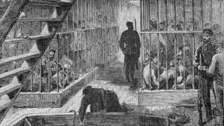 Foster & Allen ~ Fields Of Athernry