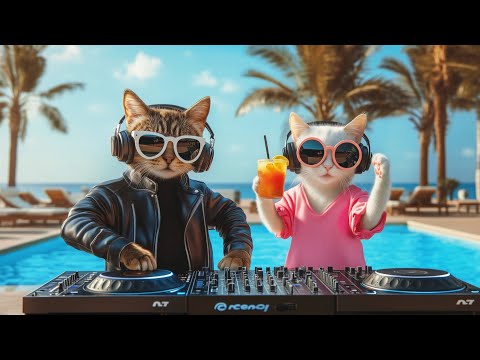DJ MIAWW Live &ndash; Poolside Love Beats 💕🐾 | Melodic House Sunset Set by the Water