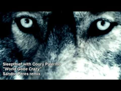 Sleepthief with Coury Palermo (Sandro Peres remix)  - World Gone Crazy 2010