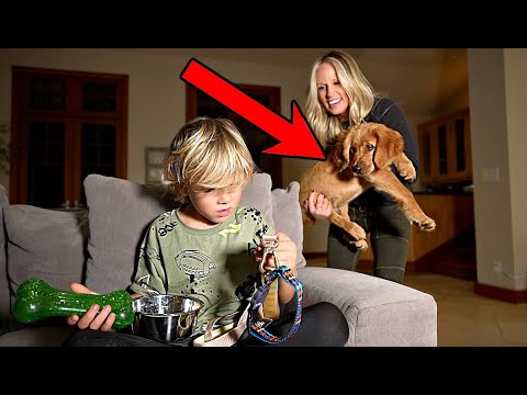 This SURPRISE brought him to TEARS! *Emotional*