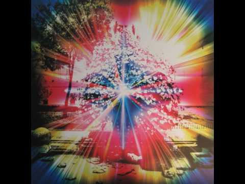 Selvhenter - Hajskindshabit