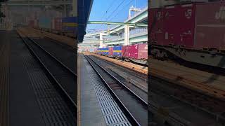 Beautiful Japanese Freight Train!!!
