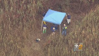 Human Remains Found In Park In Nassau County