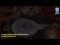 BABA BAIDYANATH STATUS BABA BAIDYANATH ENTERTAINMENT RANJEET DIWAN RAAZ