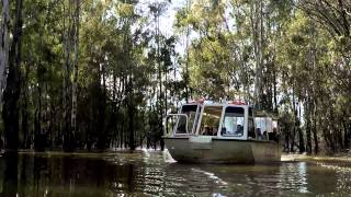 preview picture of video 'Barmah's Kingfisher Cruises - Shon Productions'