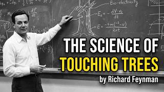 Download lagu Why You Should TOUCH a Tree Every Day — The Science Nobody Talks About mp3