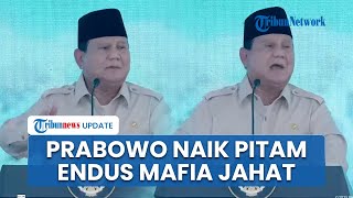 Nada Prabowo Naik, Akui Endus Mafia hingga 'Orang Pintar' yang Bersekongkol Curi Uang Rakyat