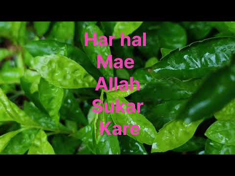 Allah sae Mango har hajat | Dawate e Hidayat SMH. #Islamic   #islam #islamicvideo #viralvideo #yt