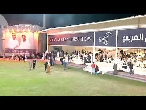 Ajman Arabian Horse Show 2020