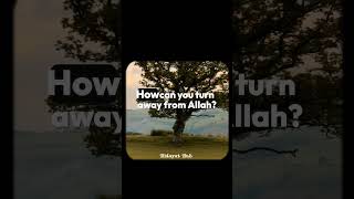 Download lagu Day 04 of uploading hidayah video in hidayat Hub mp3 Download lagu Day 04 of uploading hidayah video in hidayat Hub mp3