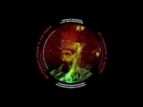 Hungry Riddim by Jah Sonic 12inch on New Flower Records by Dandelion Soundsystem