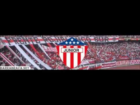 Mosaico Tiburon Junior De Barranquilla