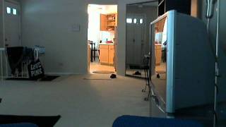 tiffany doing the cinnamon challeng...