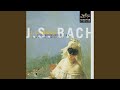 J.S. Bach: V. Menuets I & II