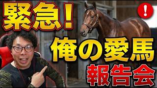 第一次函館遠征　俺の愛馬報告会