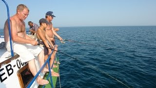 Крым рыбалка на пресных водоемах в