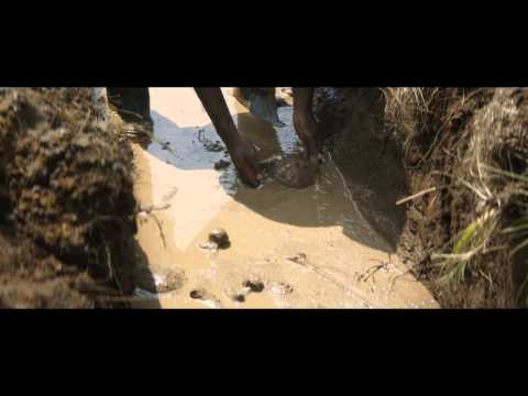 LadyGrey - Bande Annonce VOST