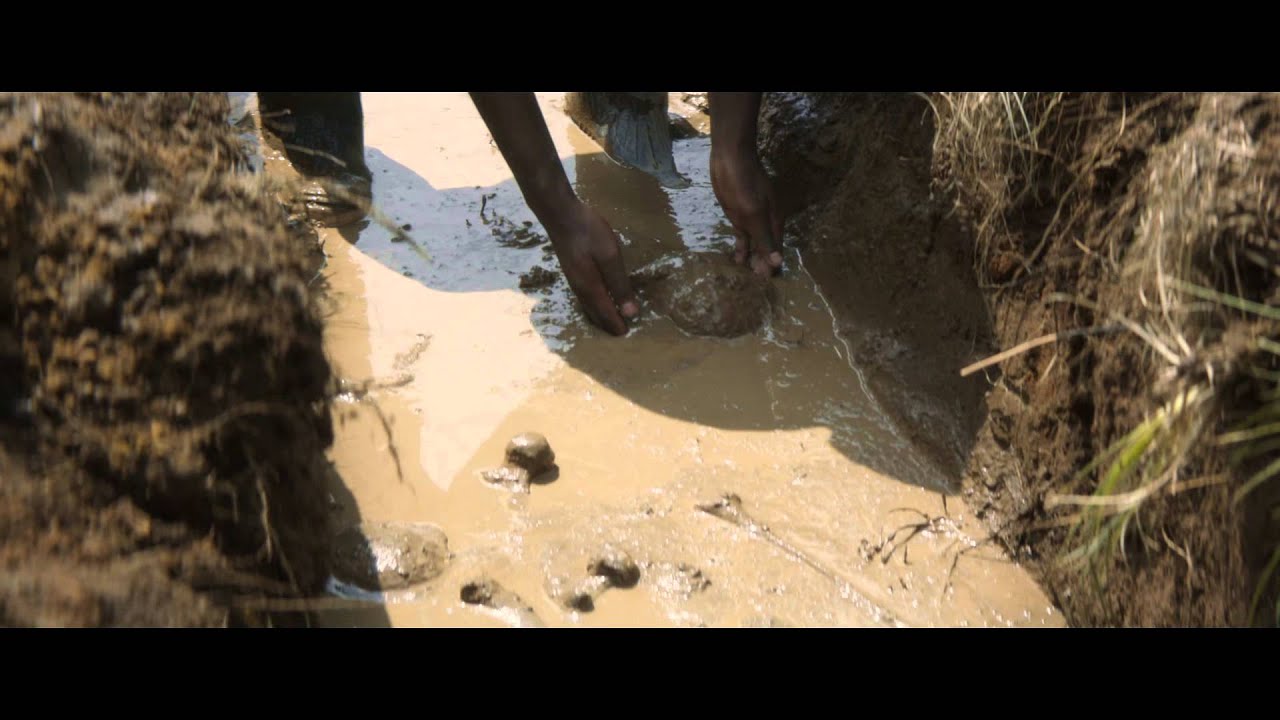 Miniature de la vidéo LadyGrey - Bande Annonce VOST du film Ladygrey